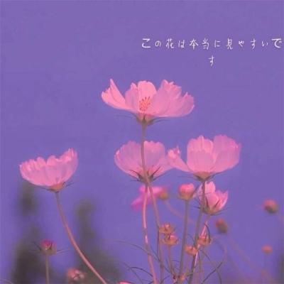 好彩网下载手机版